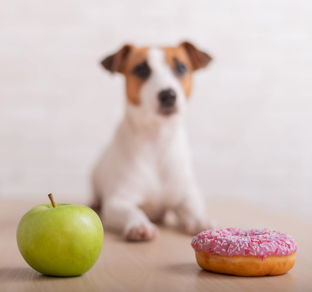 Decisions, Decisions